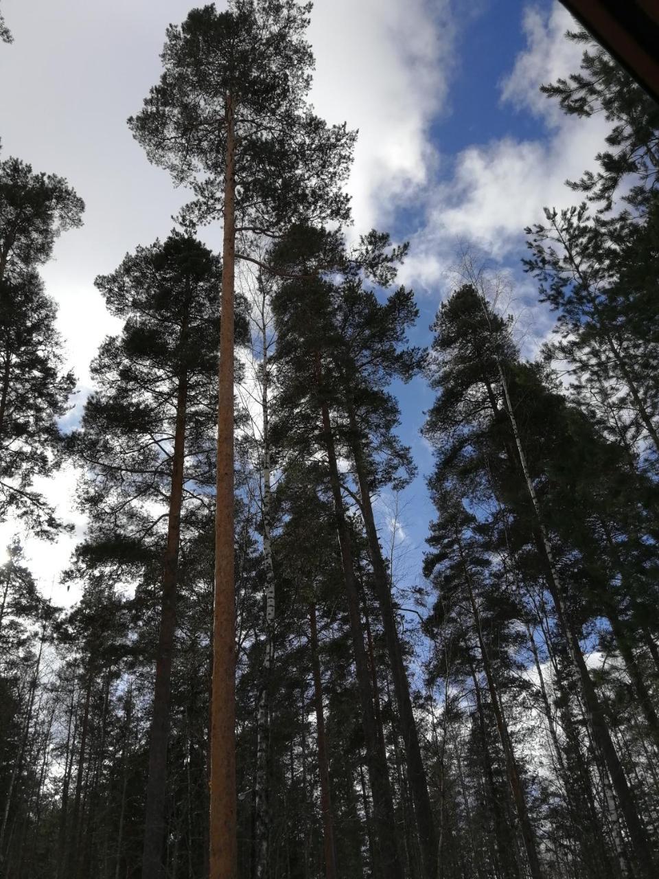 Marina Honka Village Huoneisto *